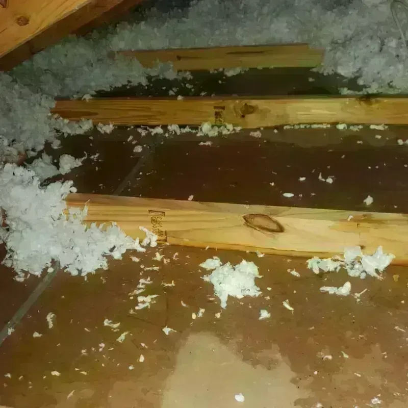 Attic Water Damage in Enfield, NC