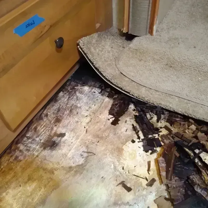 Wood Floor Water Damage in Enfield, NC